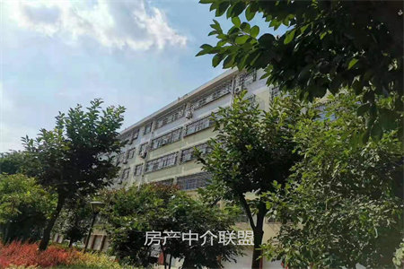 馨源小区3室2厅3卫130m2简单装修